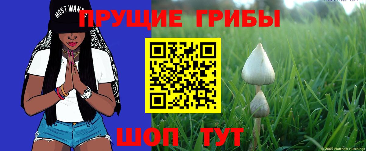 Псилоцибиновые грибы Magic Shrooms  Вход с VPN  купить  цена  Ступино 