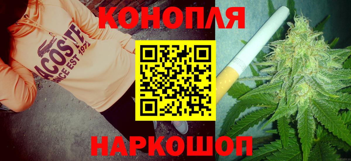 Каннабис планчик  МАРИХУАНА конопля  Вход с VPN  Марихуана сатива  Ступино  Марихуана White Widow 